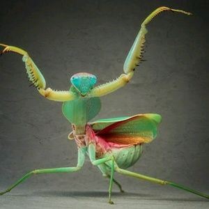 Meet your Posher, Dan